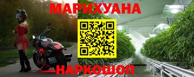 бошки Гай