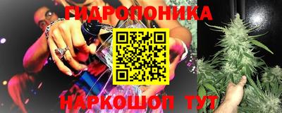 метадон Гатчина