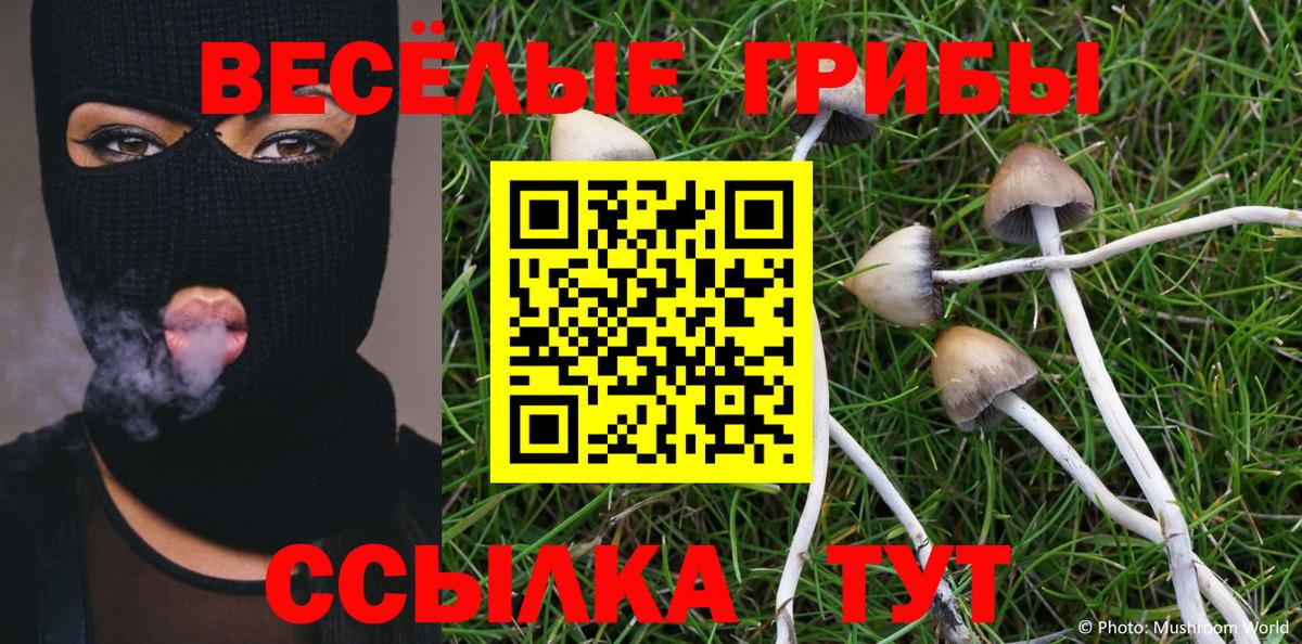 Галлюциногенные грибы GOLDEN TEACHER Миллерово
