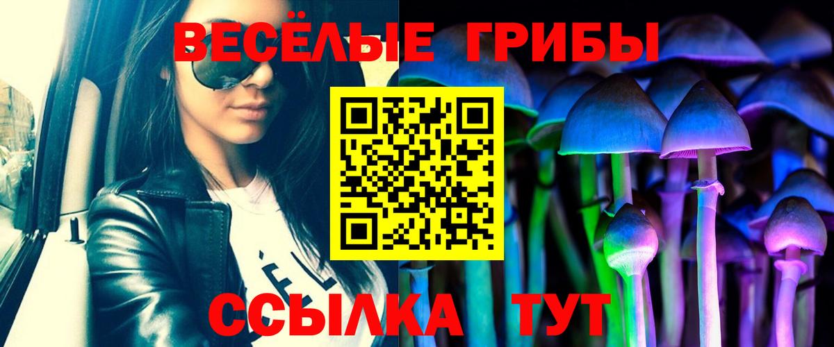 Псилоцибиновые грибы мицелий  Вход с VPN  Галлюциногенные грибы GOLDEN TEACHER  Миллерово 
